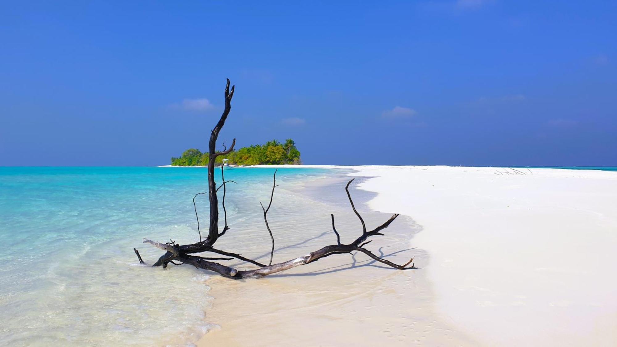 The Fulhadhoo Beach Cottage Exteriér fotografie