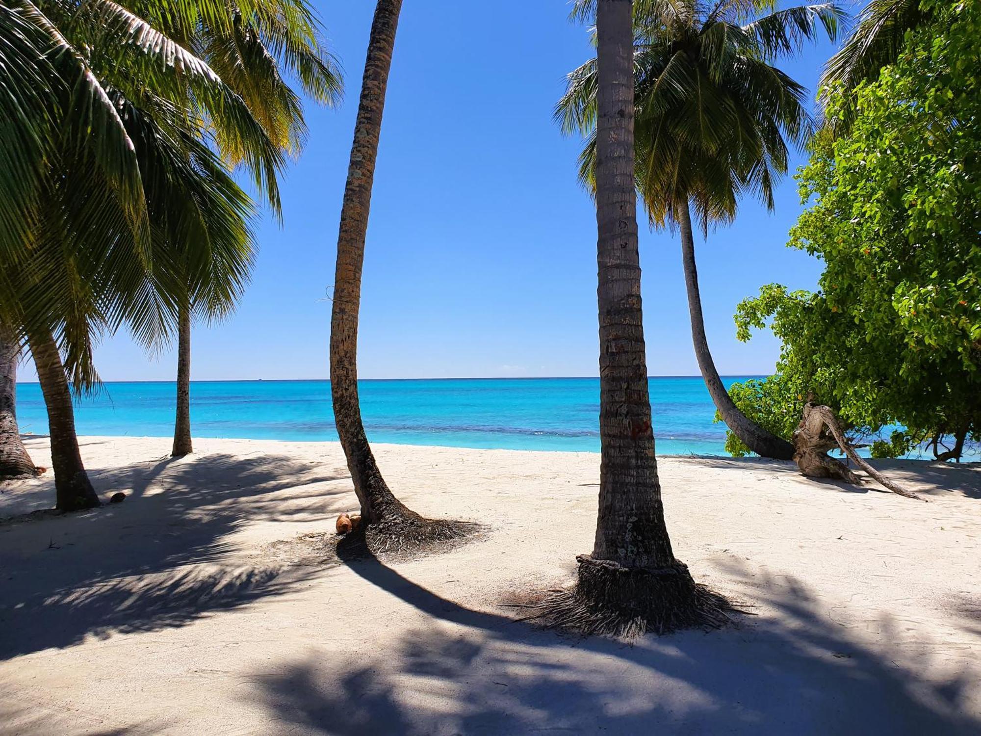 The Fulhadhoo Beach Cottage Exteriér fotografie